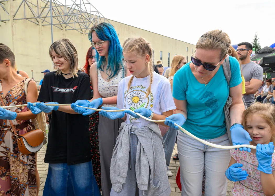Święto Sera 2025: uczestnicy biorą udział w rozciąganiu mozzarelii