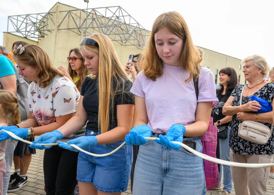 Święto Sera 2025: uczestnicy biorą udział w rozciąganiu mozzarelii