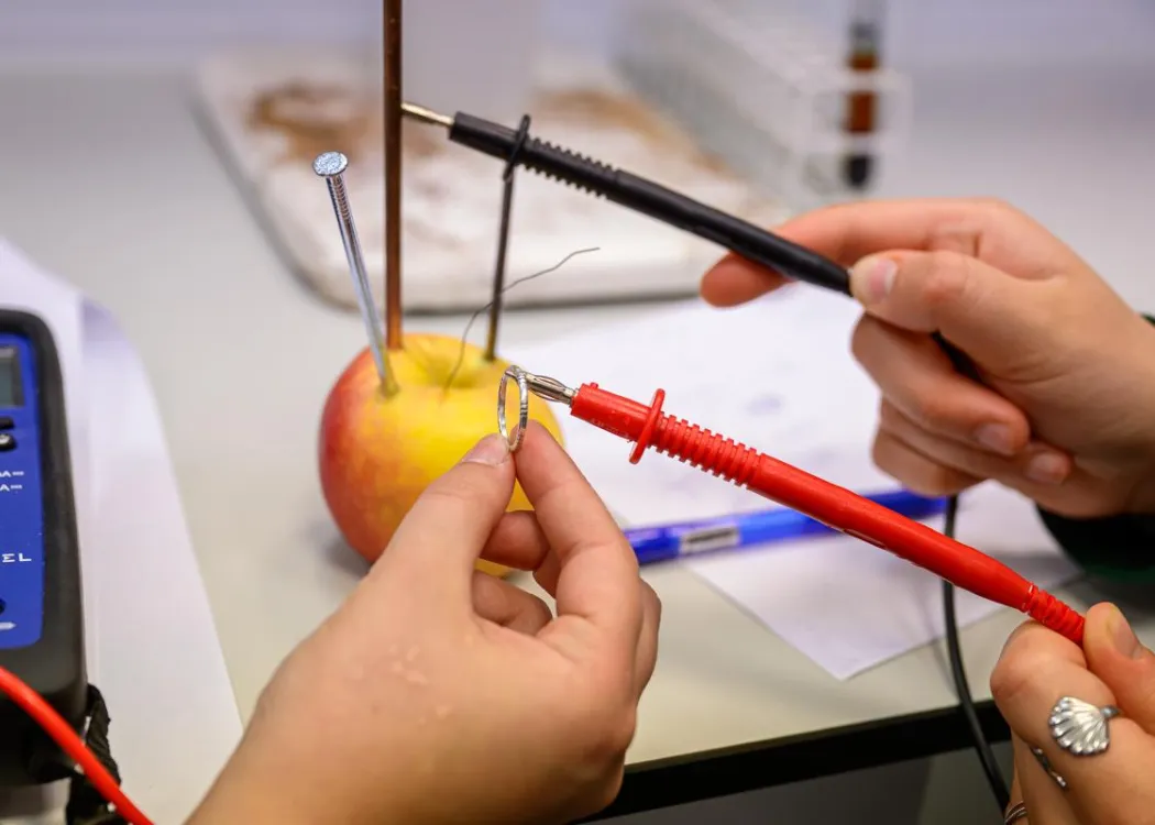 Młodzież polonijna na obozie medycznym: jabłko w laboratorium 