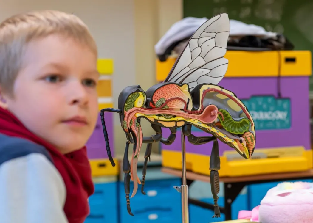 Olsztyńskie Dni Nauki i Sztuki 2025: dziecko biorące udział w warsztatach