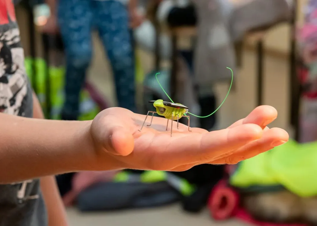 Olsztyńskie Dni Nauki i Sztuki 2025: warsztaty 