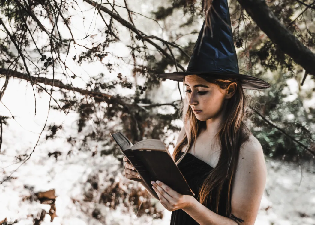 Warmia i Magia_grafika poglądowa