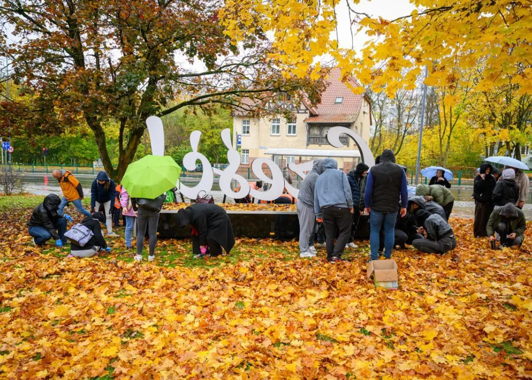 Sadzenie cebulek w Kortowie: akcja sadzenia cebulek 