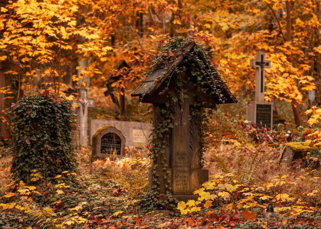 cmentarz w Brąswałdzie na Warmii 