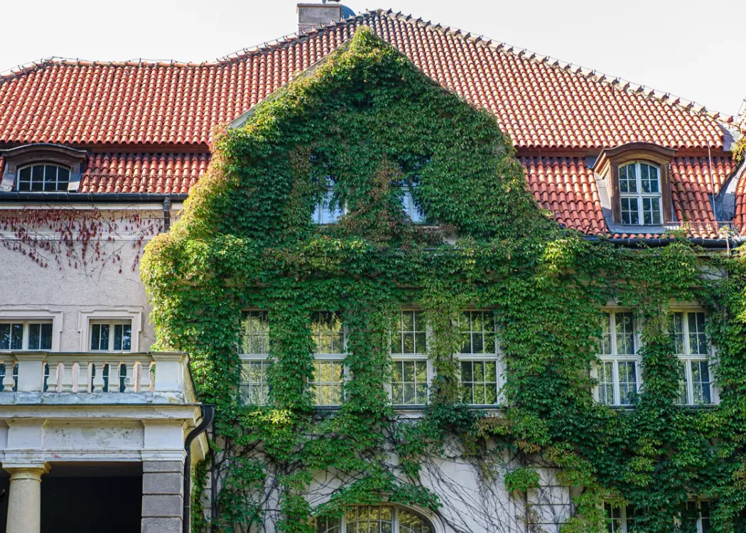 palac w lezanach