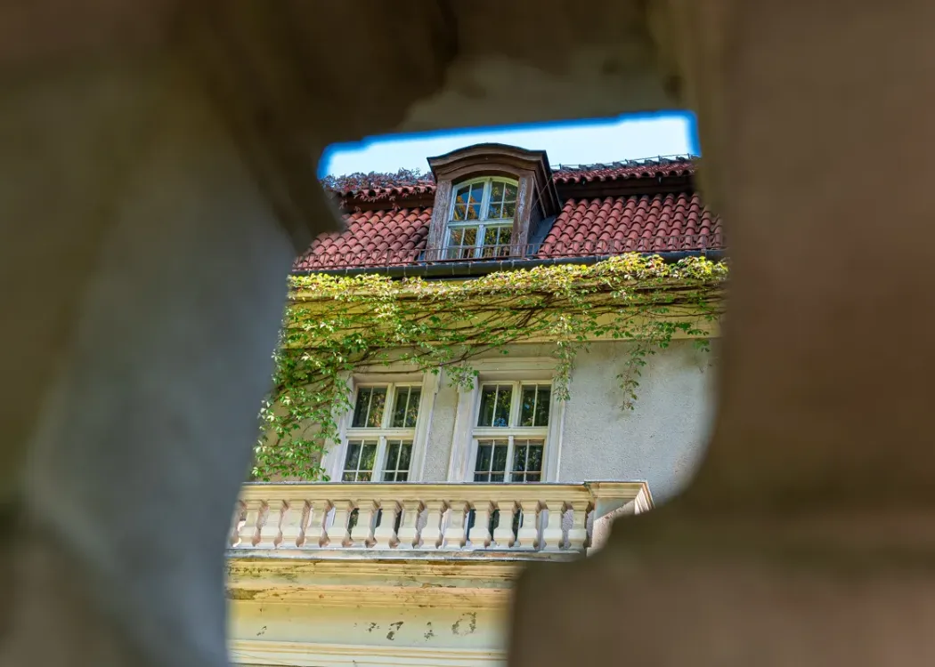 palac w lezanach