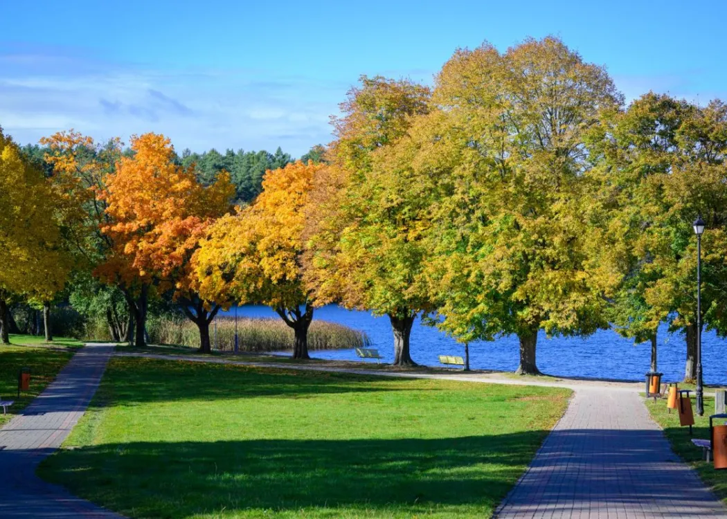 Widok na plażę kortowską, w oddali jezioro