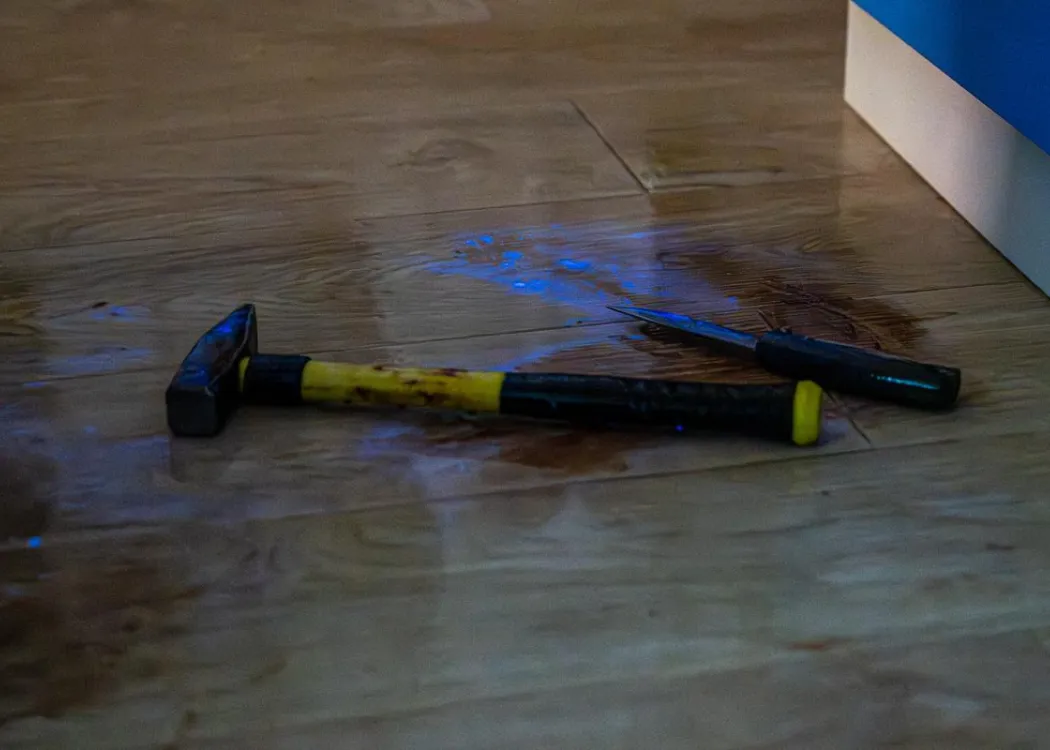 Noc Biologów 2026: młotek i nóż na podłodze