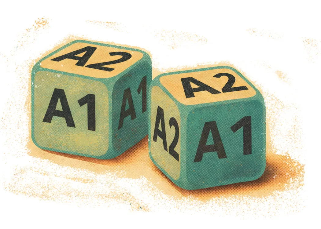 Grafika do tekstu przedstawiająca kostki do gry z wariantami A1 i A2