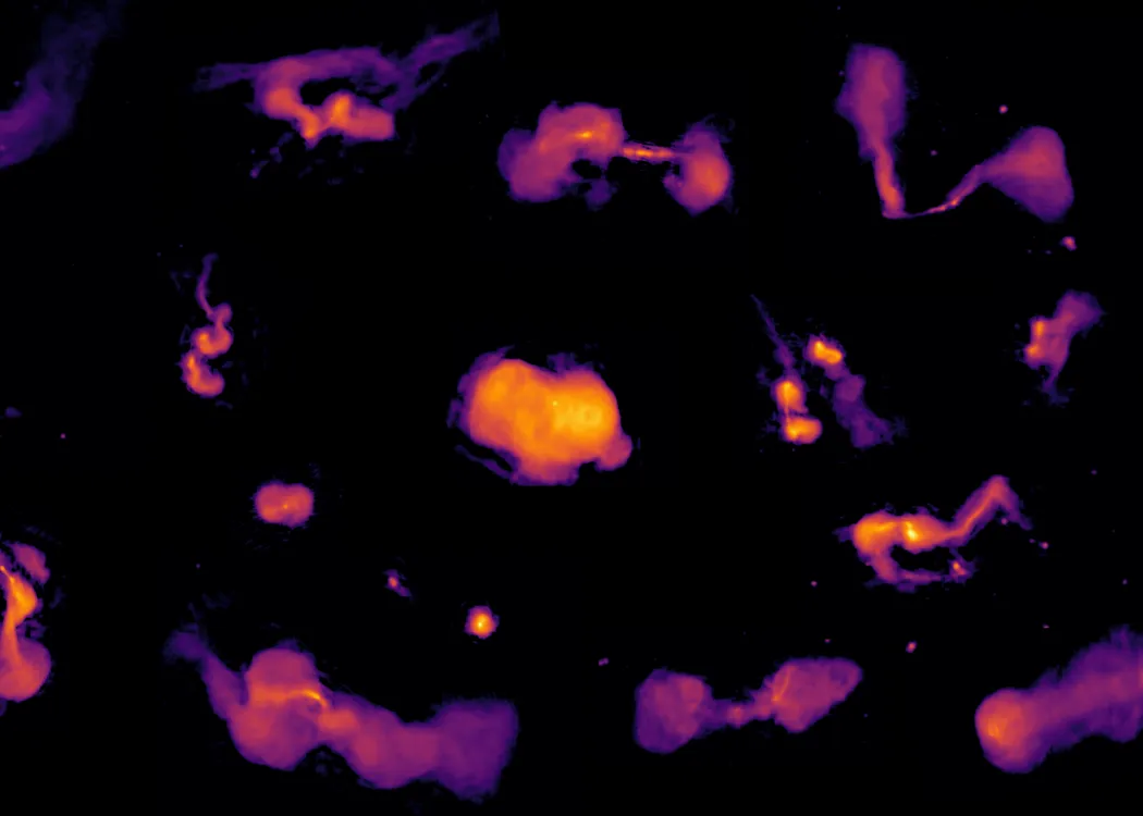 Różne typy radiogalaktyk zasilane energią supermasywnych czarnych dziur. Prawa autorskie: Maya Horton and the LOFAR surveys collaboration