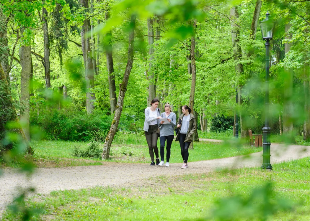 Trzy studentki spacerują po parku kortowskim