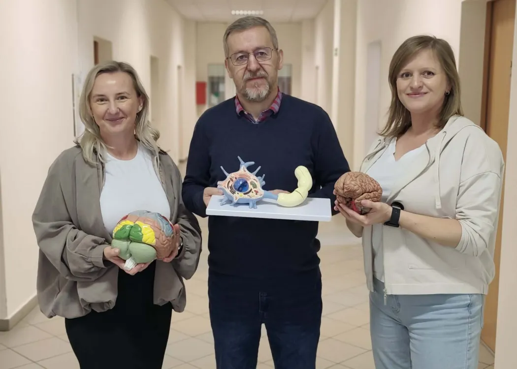 Organizatorzy Tygodnia Mózgu z modelami mózgów 