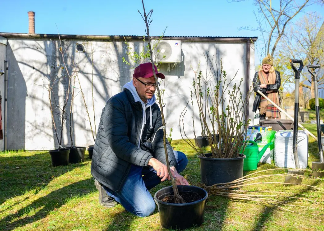 Sadzenie drzewek - Mariusz Antolak