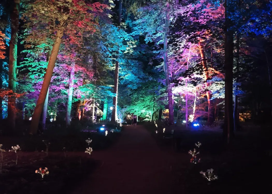 Kortowski Park Świateł 