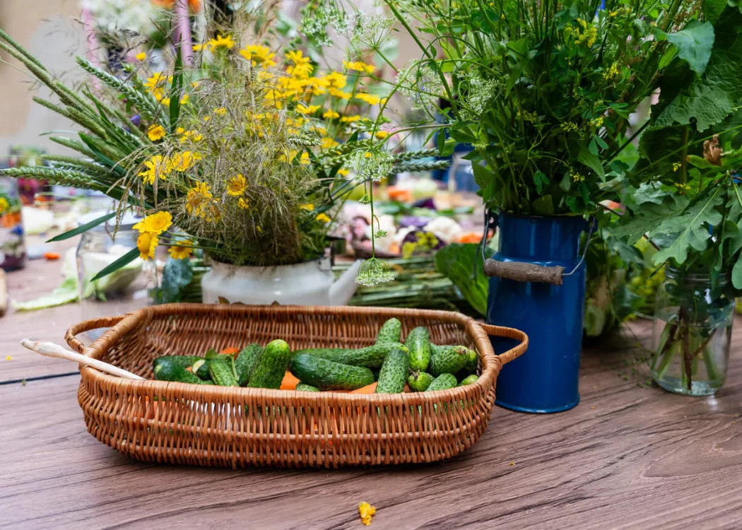 Piknik w Łężanach, lipiec 2026 - kosz z ogórkami