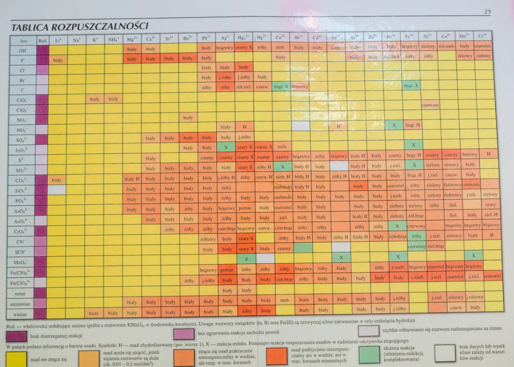 Obóz edukacyjny dla młodzieży polonijnej 