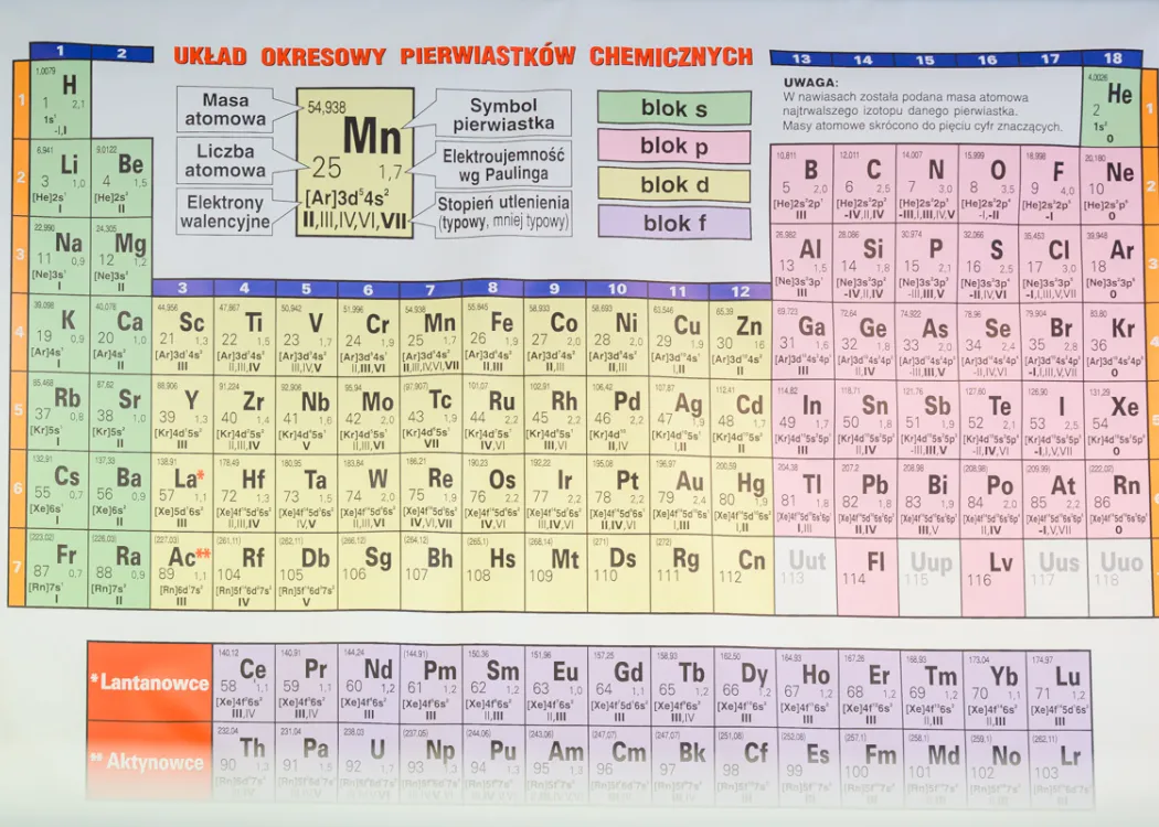 Obóz edukacyjny dla młodzieży polonijnej 