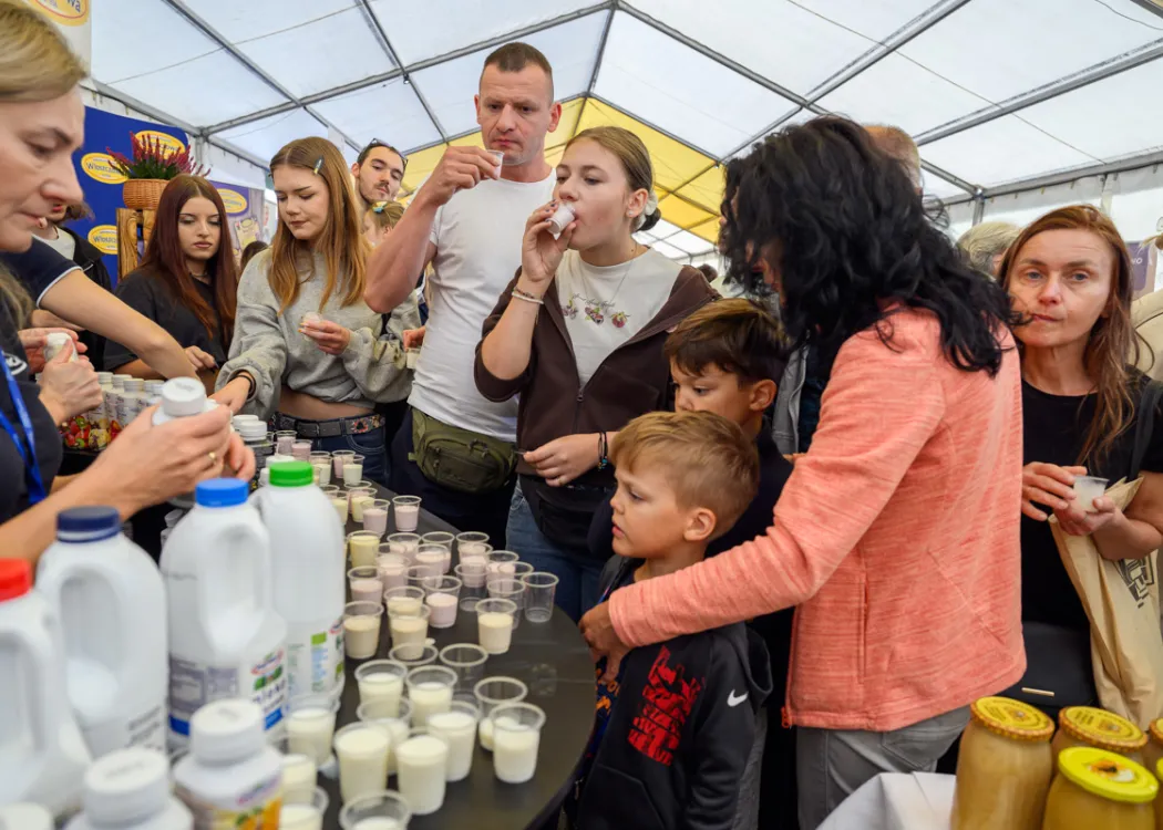11. Święto Sera: uczestnicy degustują przy stoisku 