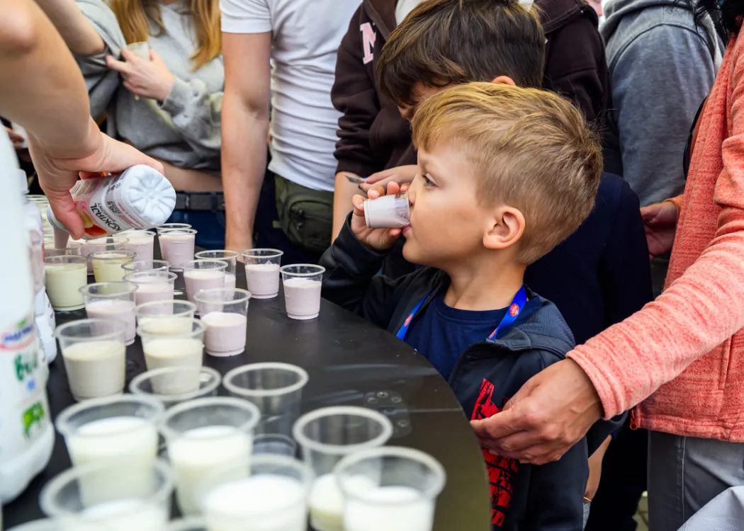 11. Święto Sera: uczestnicy degustują przy stoisku, chłopiec pije mleko