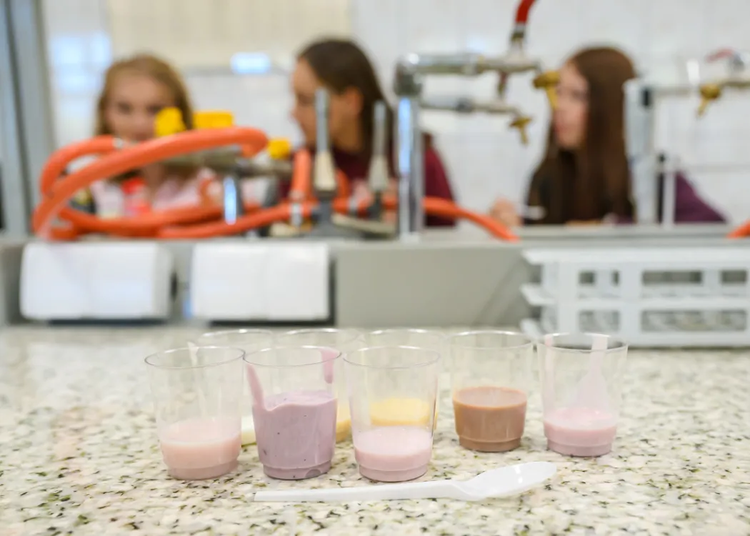 Świat słodkości w produktach mleczarskich: próbki produktów