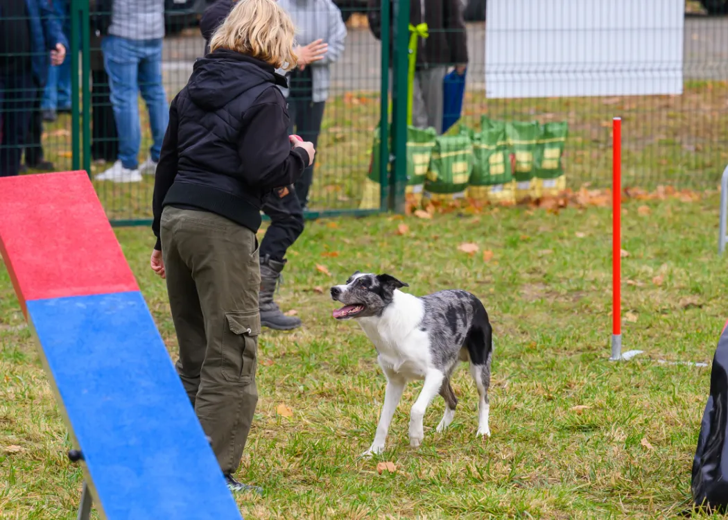 Otwarcie Agility Park WBZ