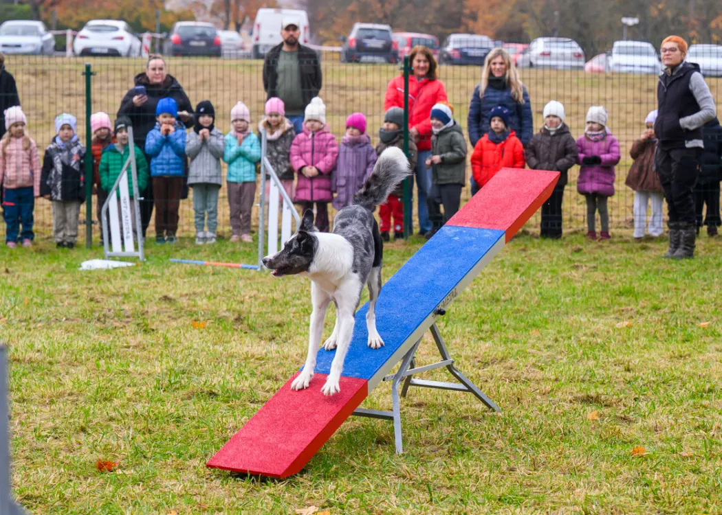 Otwarcie Agility Park WBZ