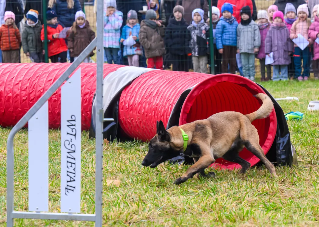 Otwarcie Agility Park WBZ