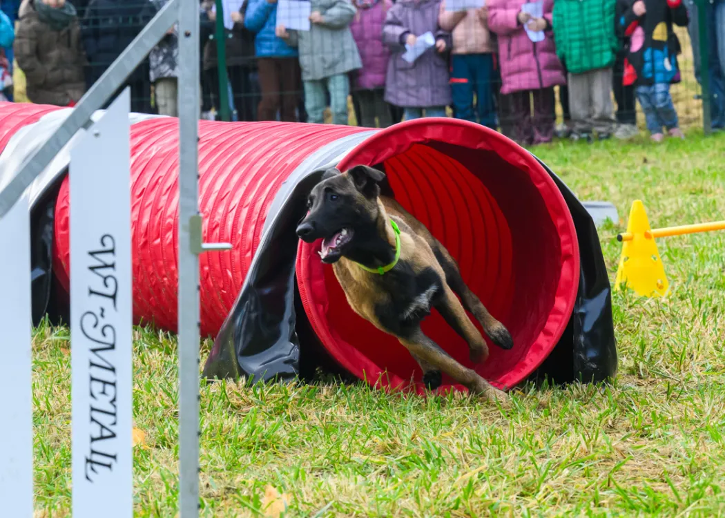 Otwarcie Agility Park WBZ
