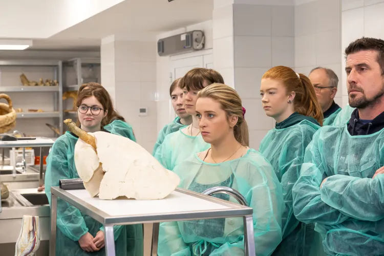 Irlanadczycy oglądają preparat