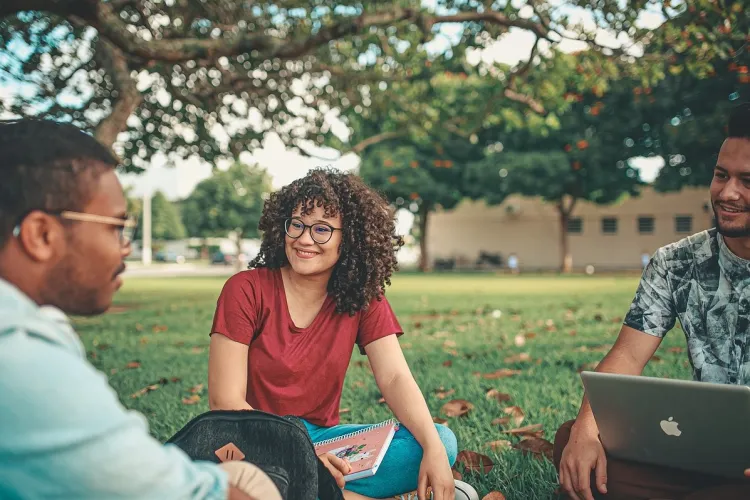 Program MOST, fot. pixabay.com 