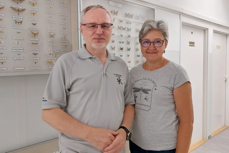 Stanisław Czachorowski i Anna Biedunkiewicz stoją przy gablocie z motylami
