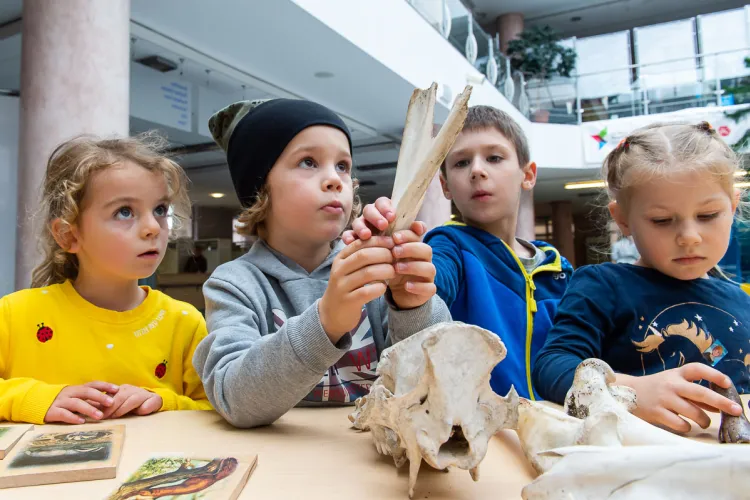 Olsztyńskie Dni Nauki i Sztuki - dzieci uczestniczące w wydarzeniu