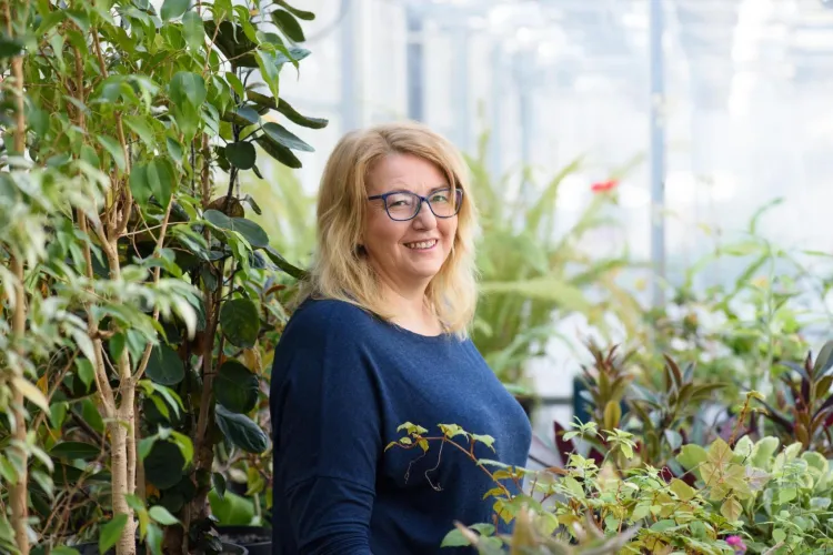 dr Beata Płoszaj-Witkowska