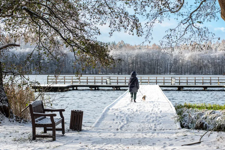 Spacerowiczka z psem nad Jeziorem Kortowskim zimą