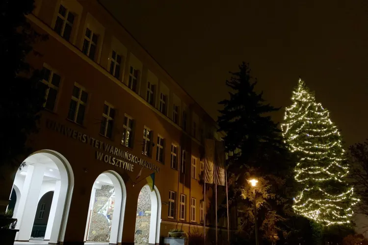 Choinka przy rektoracie UWM