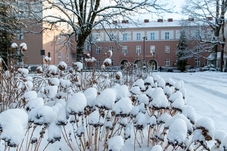 Rektorat w zimowej scenerii