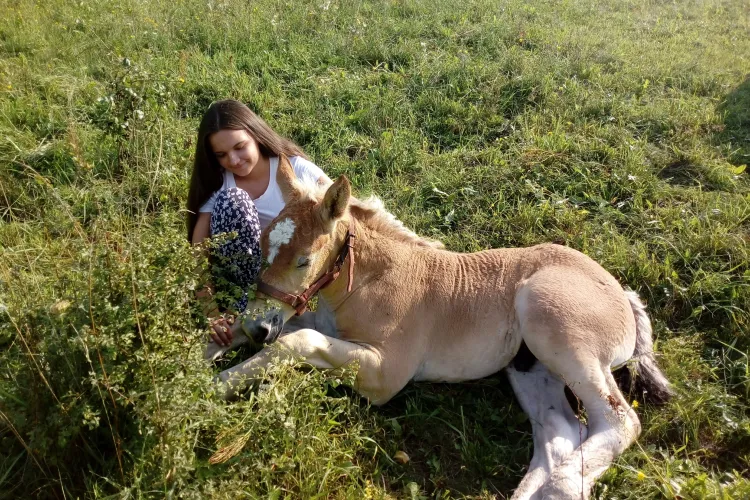 Wiktoria Zwierzykowska i jej koń