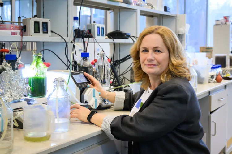 Prof. Joanna Rodziewicz w laboratorium
