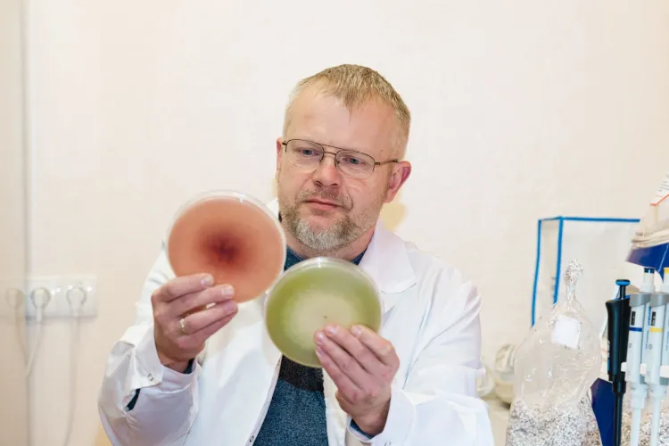 Prof. dr hab. inż. Tomasz Kulik