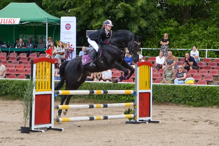 Regionalne Zawody Jeździeckie Memoriał doc. Wadowskiego 2024