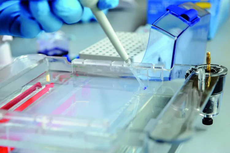 Laboratorium, fot. Janusz Pająk