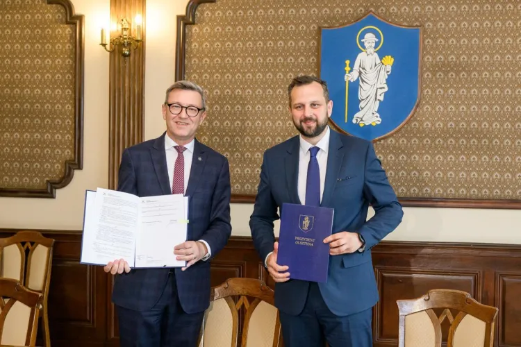 projekt badań pilotażowych