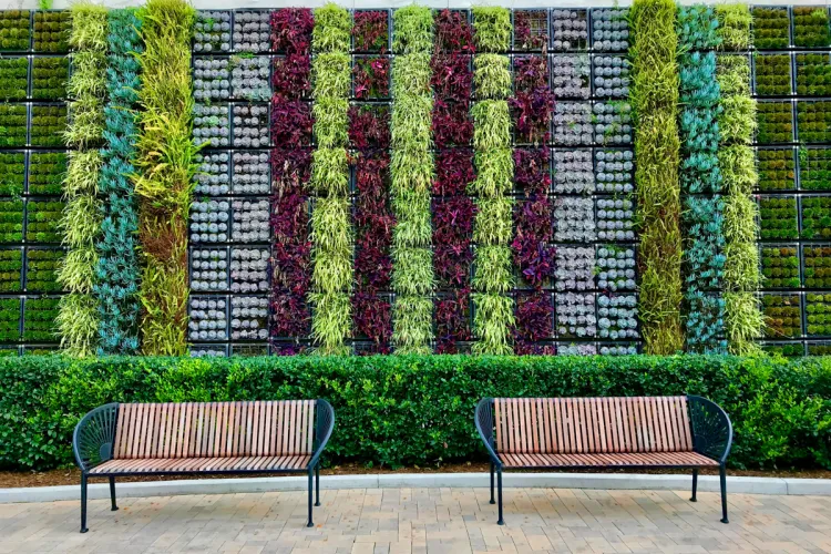 Roślinna ściana za ławkami