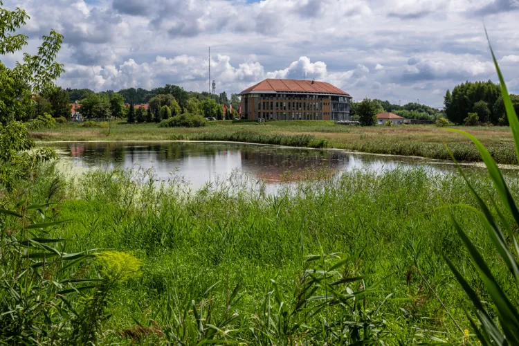 Jezioro Płociduga Duża na tle zieleni 