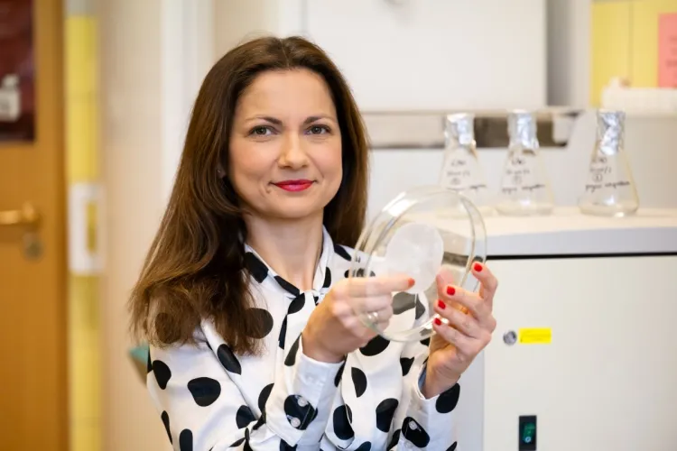 Dr hab. Justyna Możejko-Ciesielska, prof. UWM