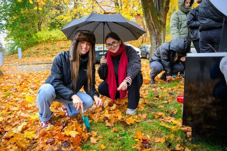 Studentki sadzą rośliny w Kortowie, jedna z kobiet trzyma parasol nad sobą i koleżanką. Na ziemi leżą kolorowe liście. 