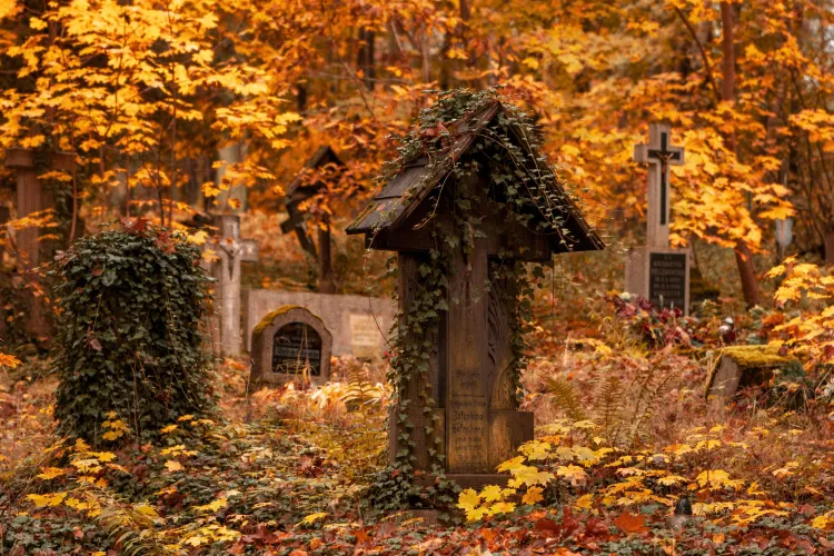 cmentarz w Brąswałdzie na Warmii 