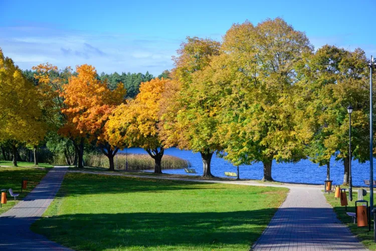 Widok na plażę kortowską, w oddali jezioro
