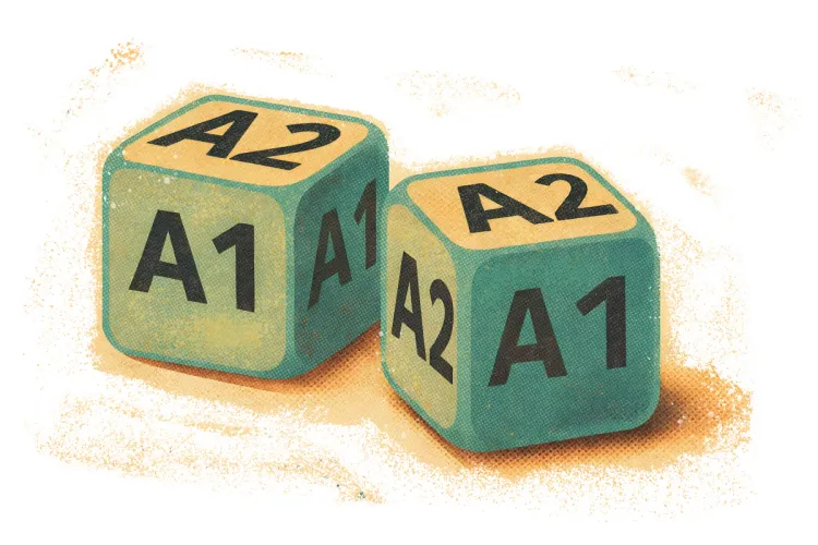 Grafika do tekstu przedstawiająca kostki do gry z wariantami A1 i A2