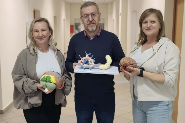 Organizatorzy Tygodnia Mózgu z modelami mózgów 